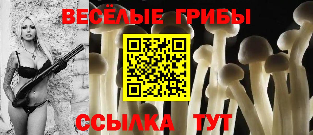 Псилоцибиновые грибы Cubensis Вичуга