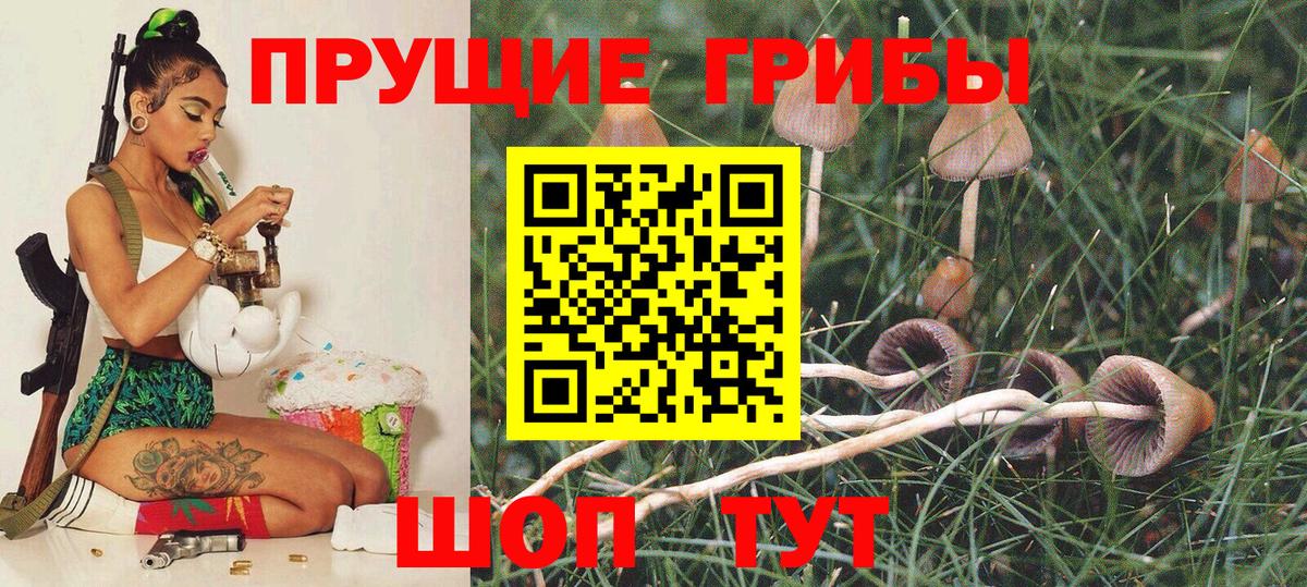Вичуга  купить  сайты  Вход с VPN  Галлюциногенные грибы прущие грибы 