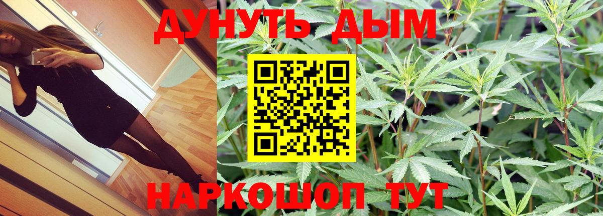 Шишки марихуана тримм  Вход с VPN  Марихуана MAZAR  Вичуга 